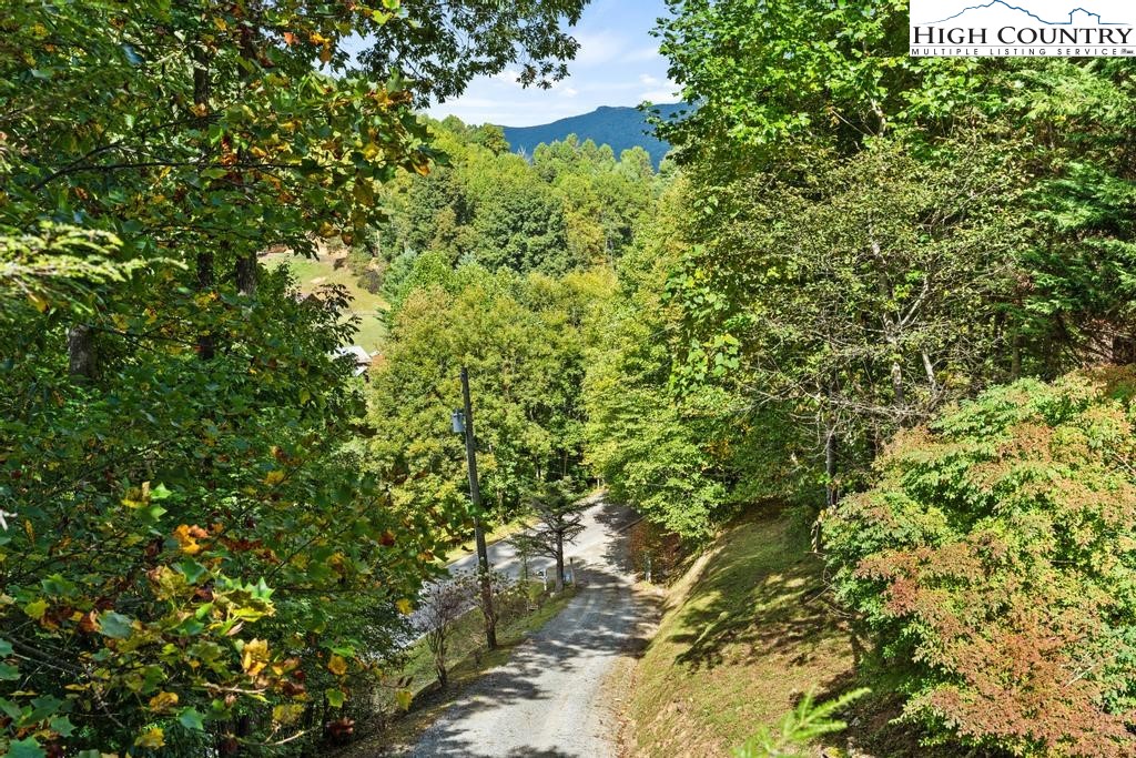 596 Joe Shoemaker Road