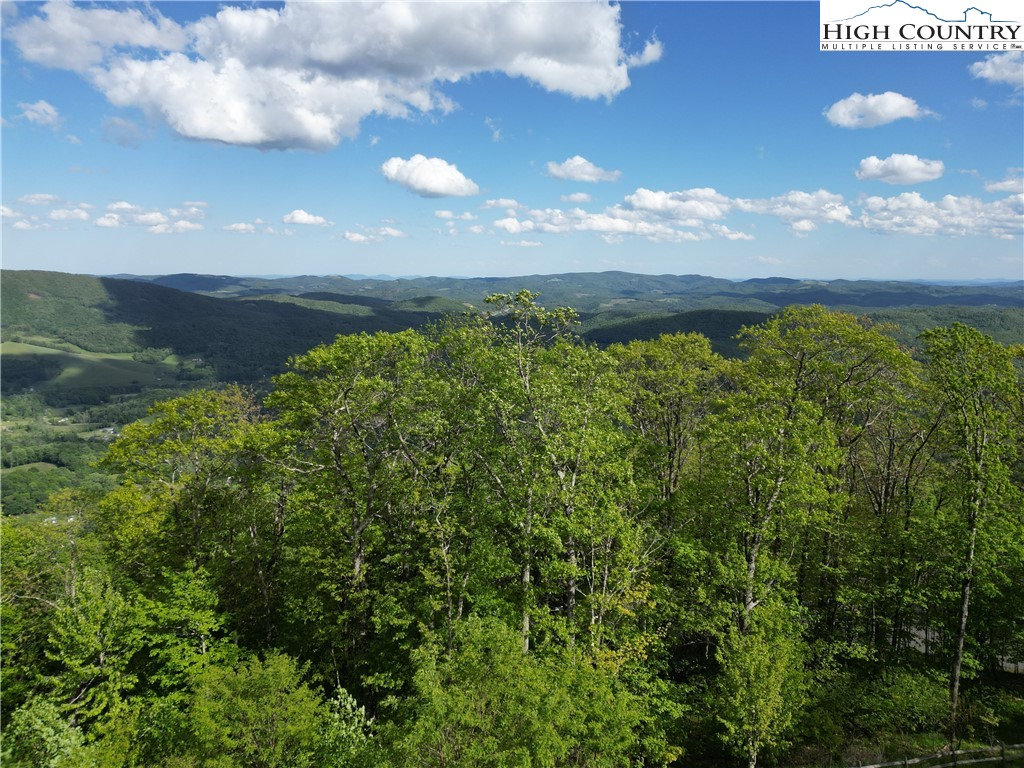 222 W Big Tree Road
