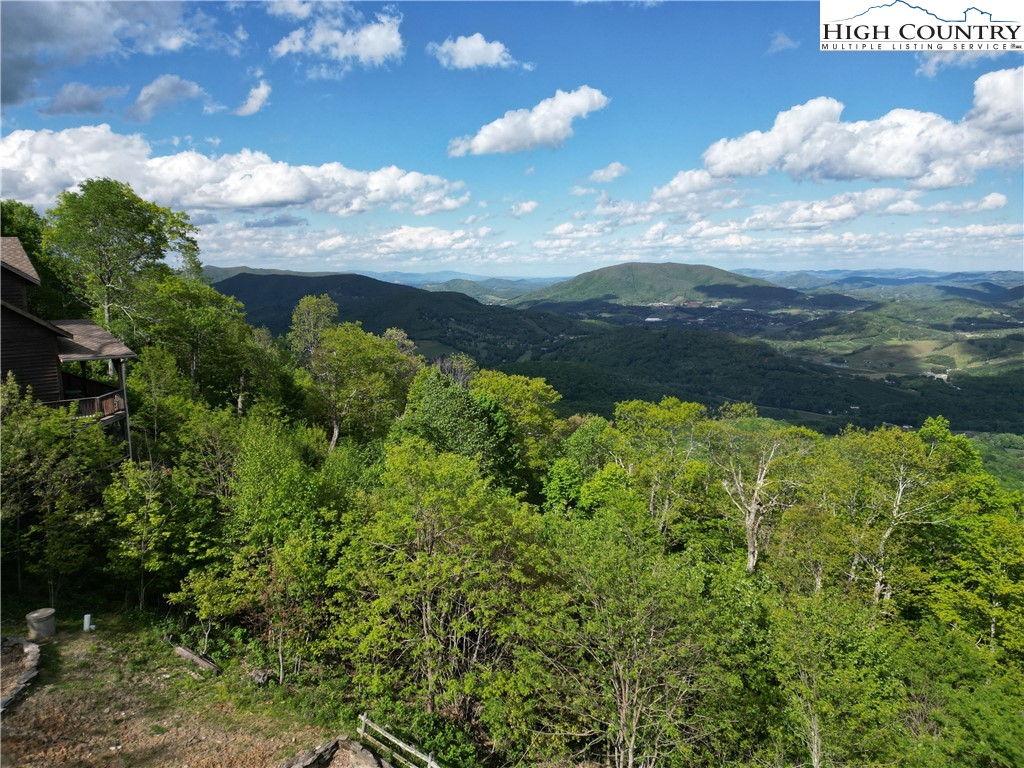 222 W Big Tree Road