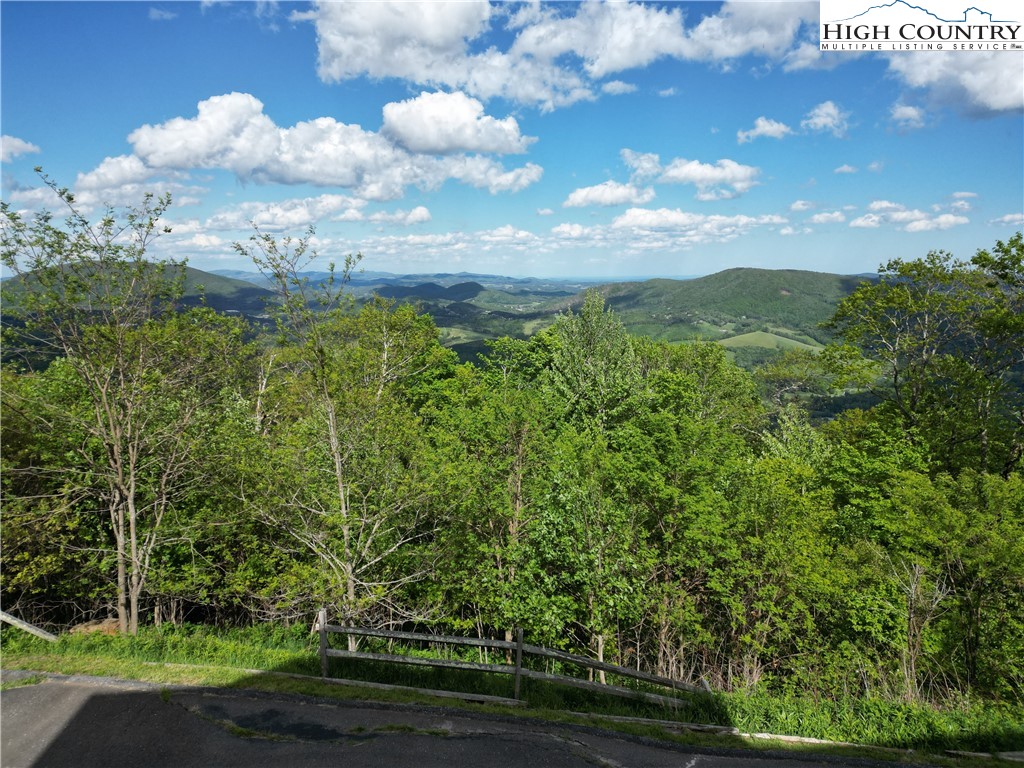 222 W Big Tree Road