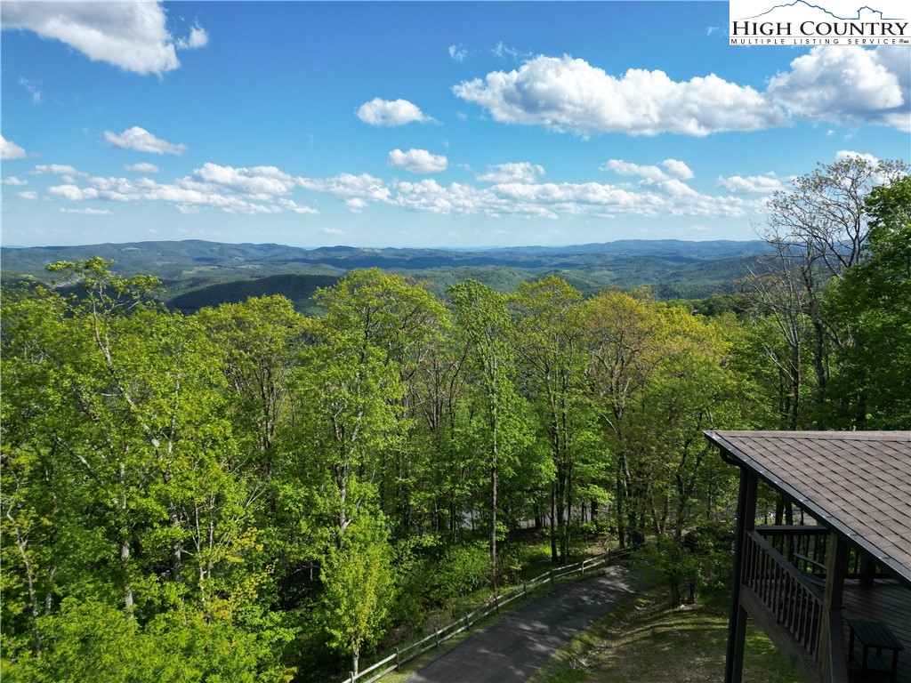 222 W Big Tree Road