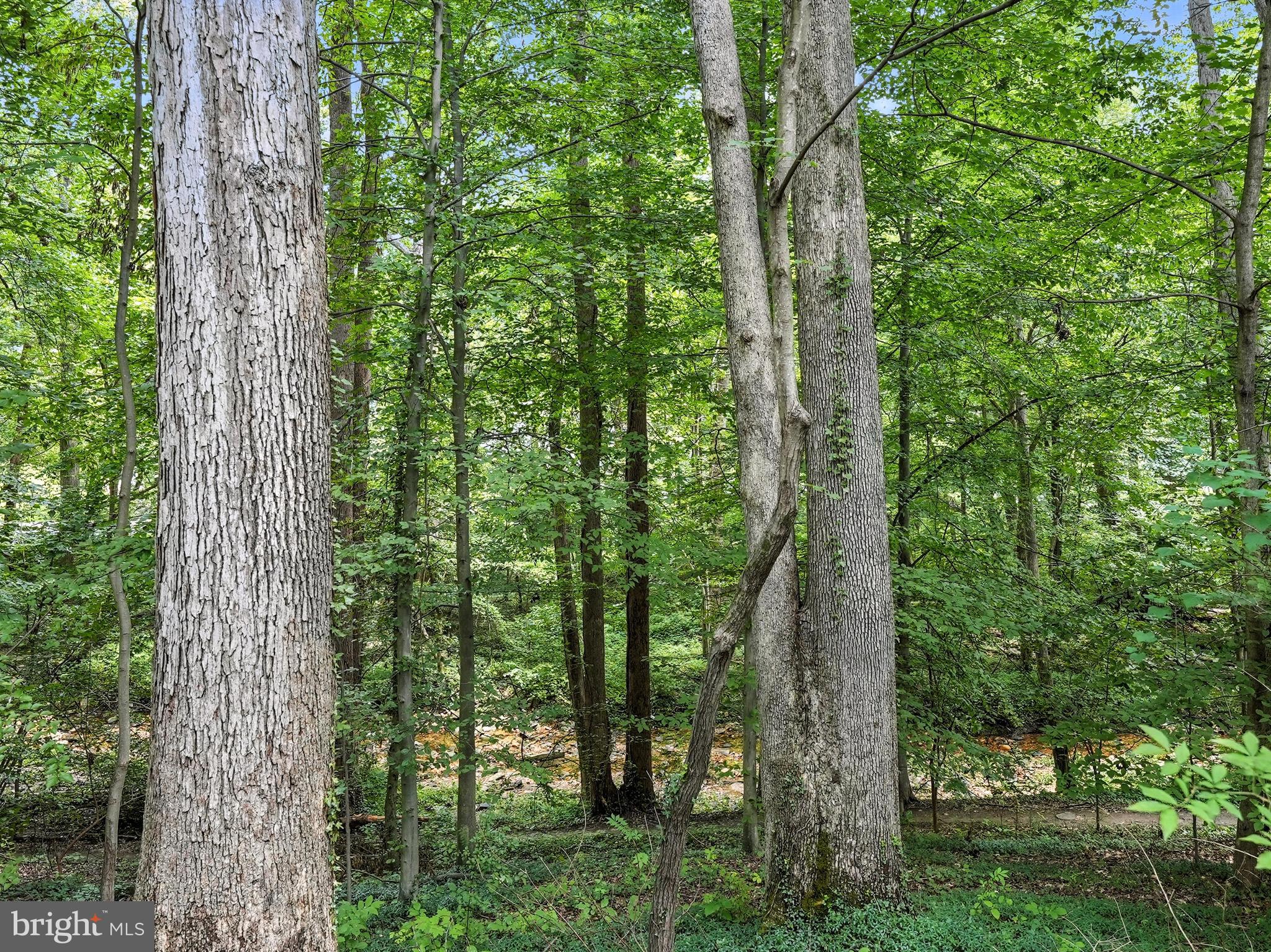 6702 OREGON AVENUE NW