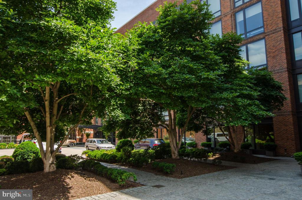 3150 SOUTH STREET NW Unit: 1A