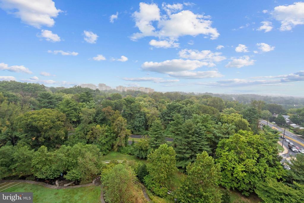 5101 RIVER ROAD Unit: 1504
