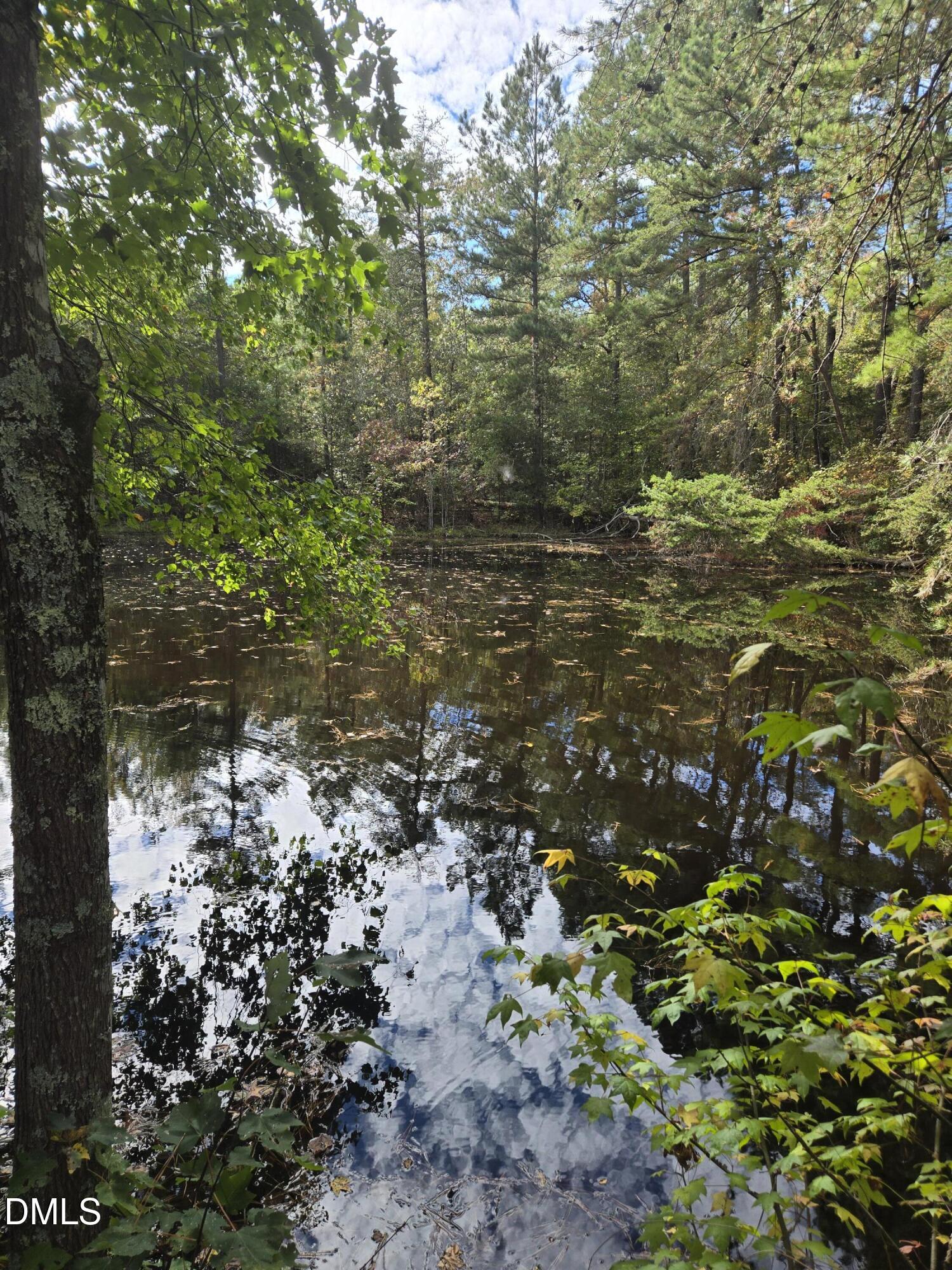 0 Bass Mountain Road, Snow Camp