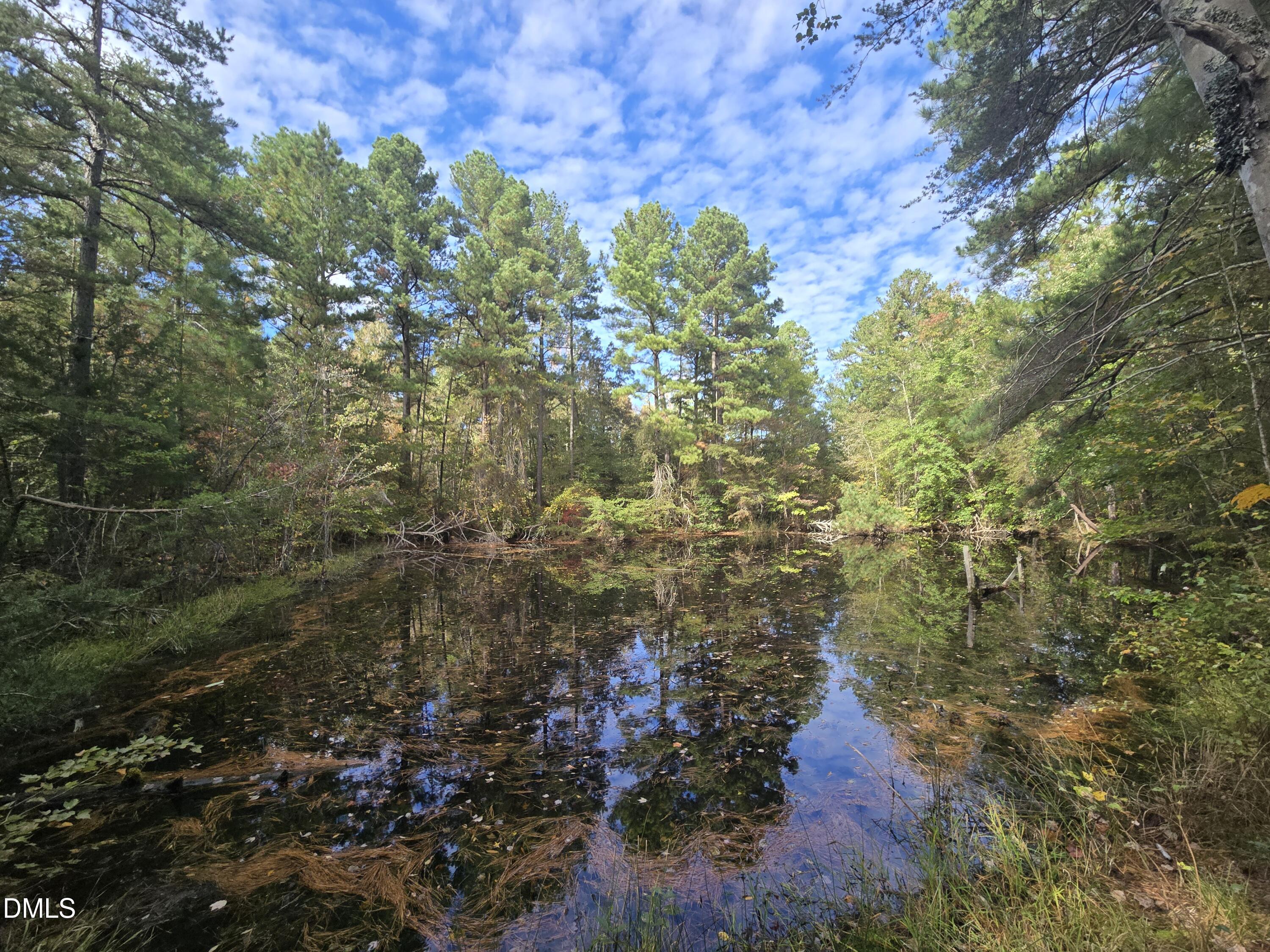 0 Bass Mountain Road, Snow Camp