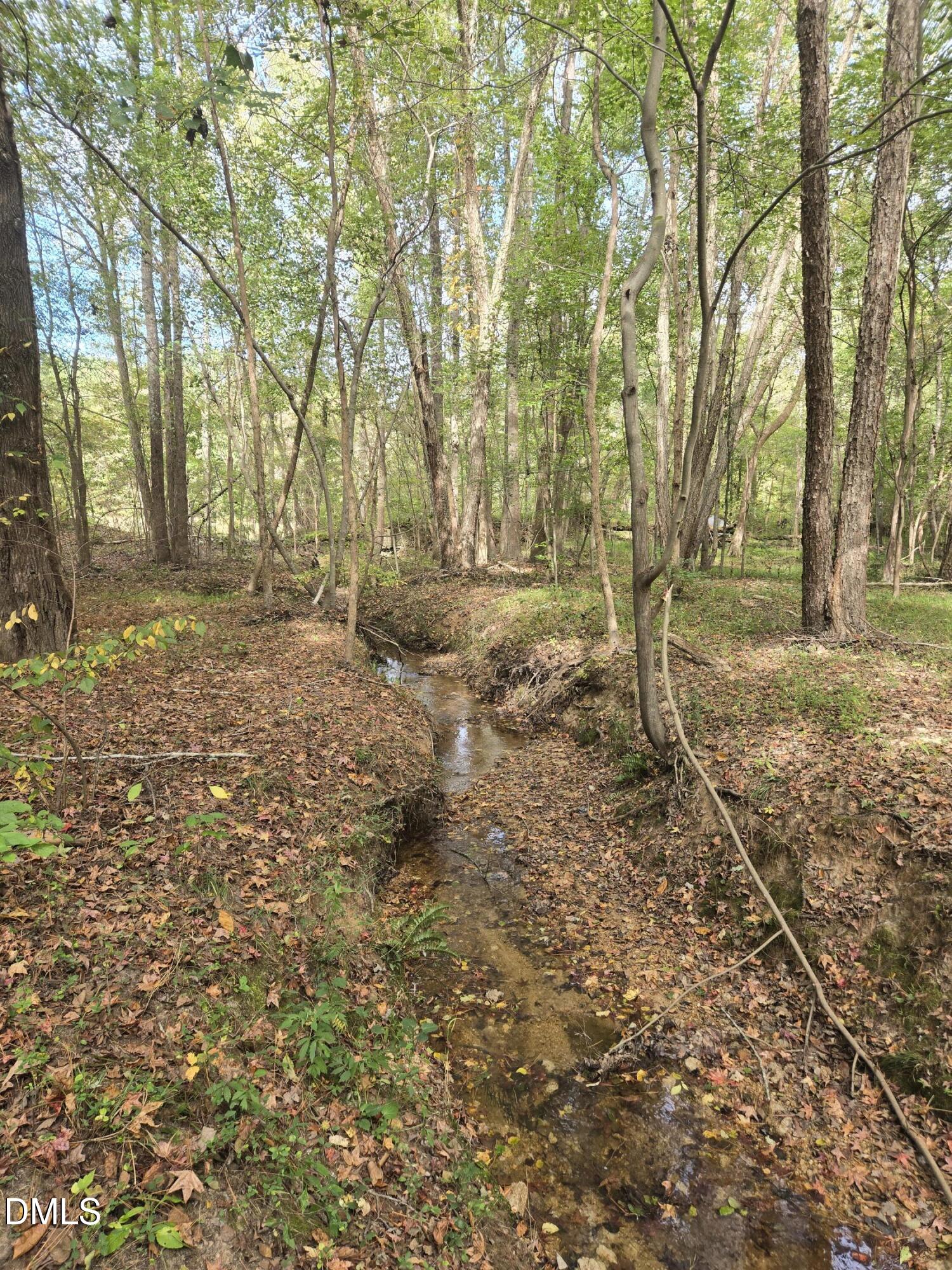 0 Bass Mountain Road, Snow Camp