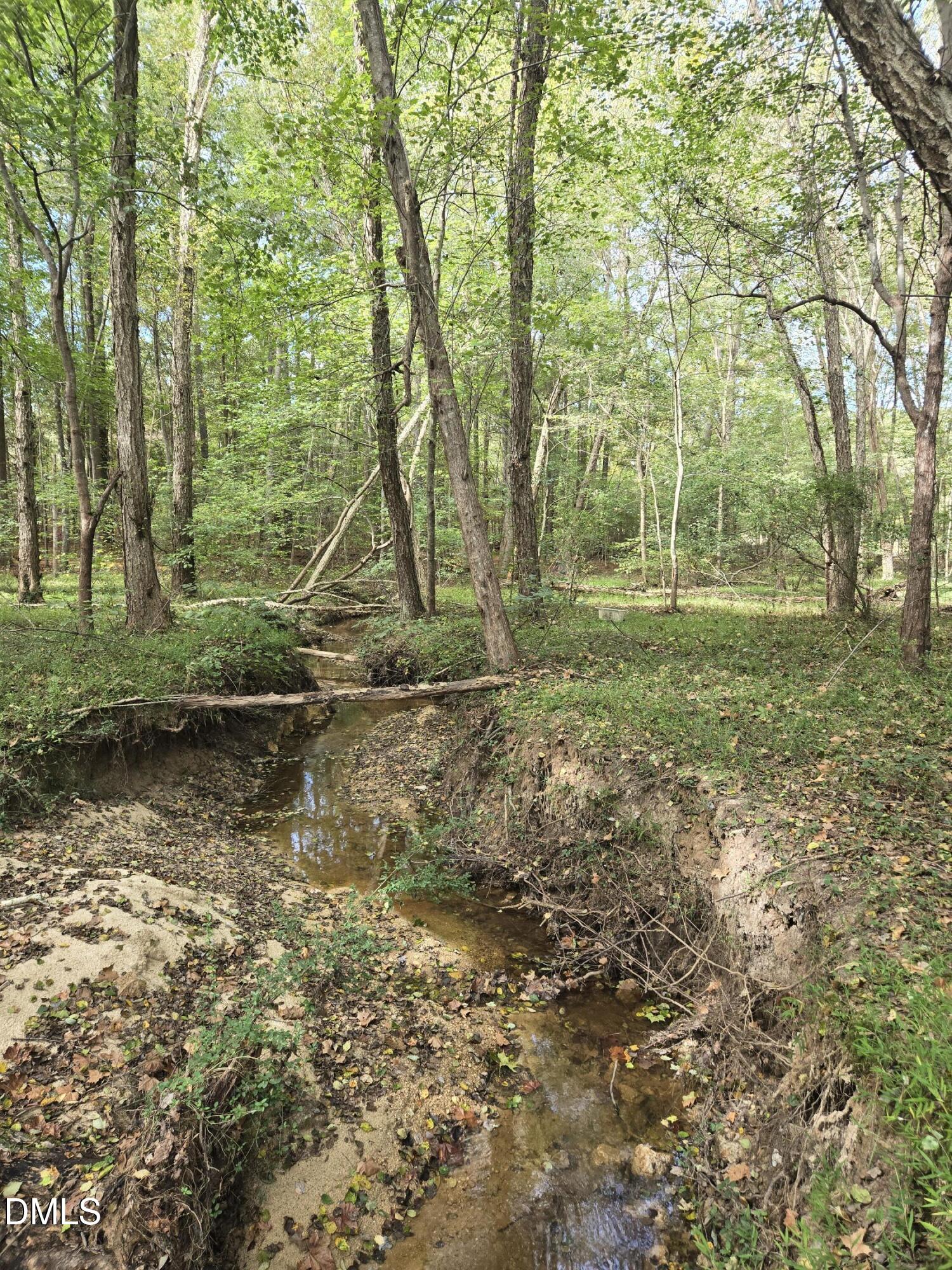 0 Bass Mountain Road, Snow Camp