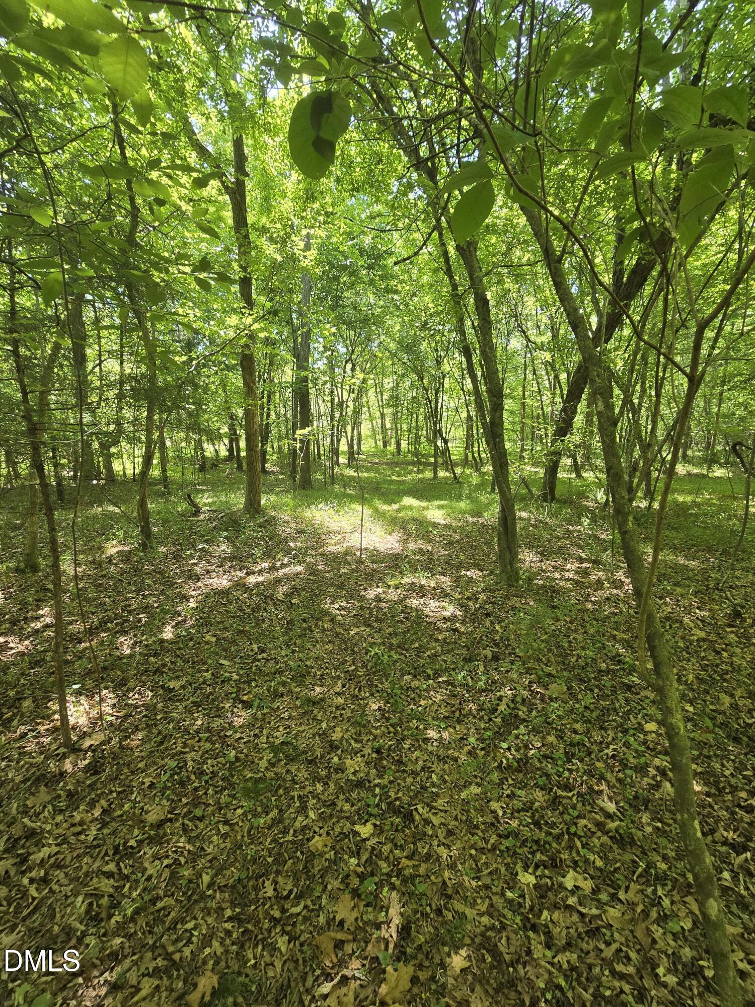 5022 Mount Hermon Rock Crk Road