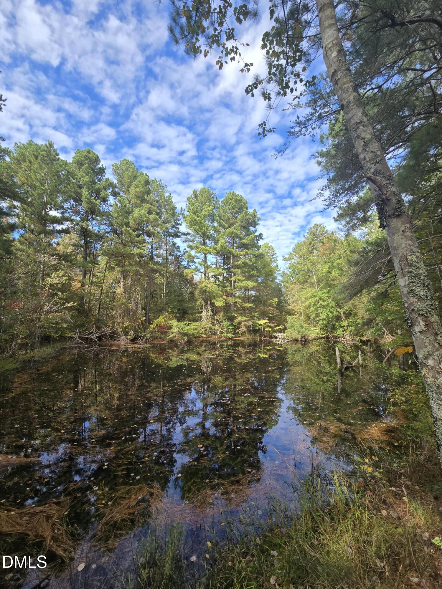 0 Bass Mountain