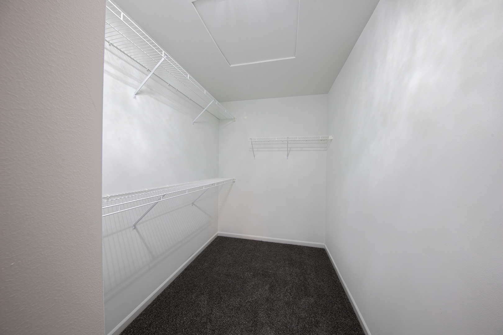 24342 Liberty Street