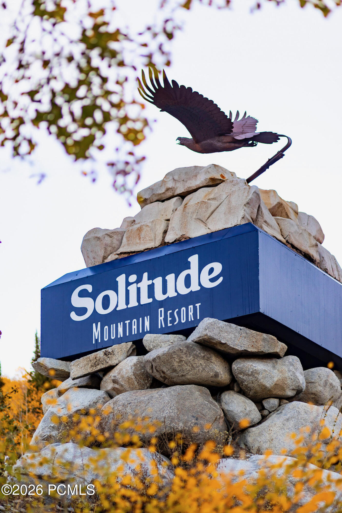 7371 S Canyon Centre Parkway 210