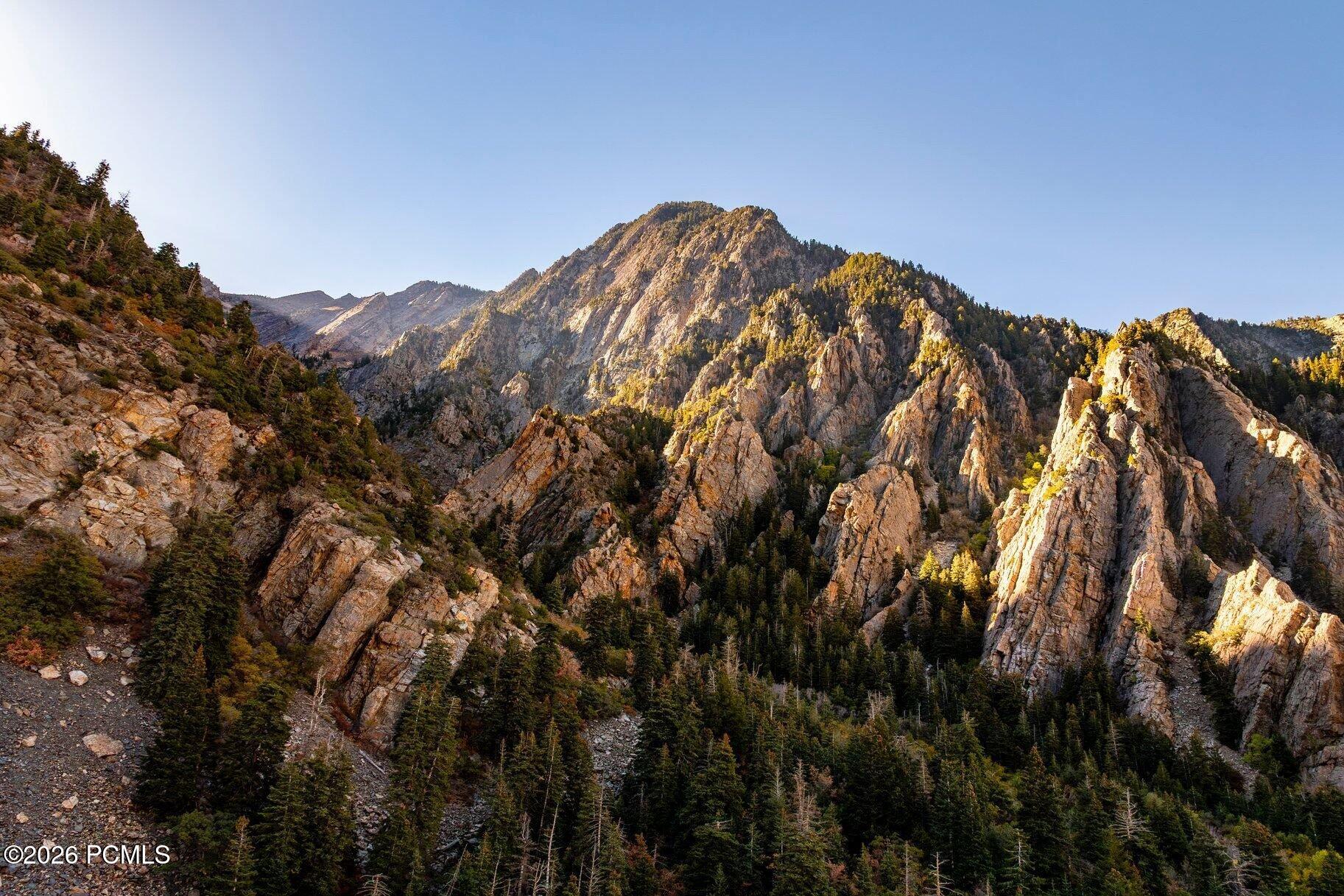 7371 S Canyon Centre Parkway 401