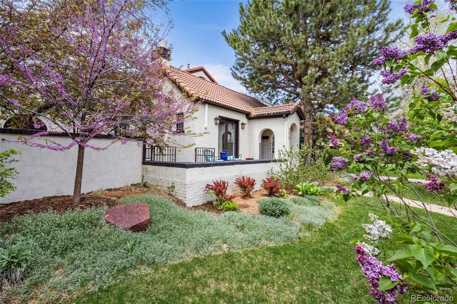 229 Albion Street