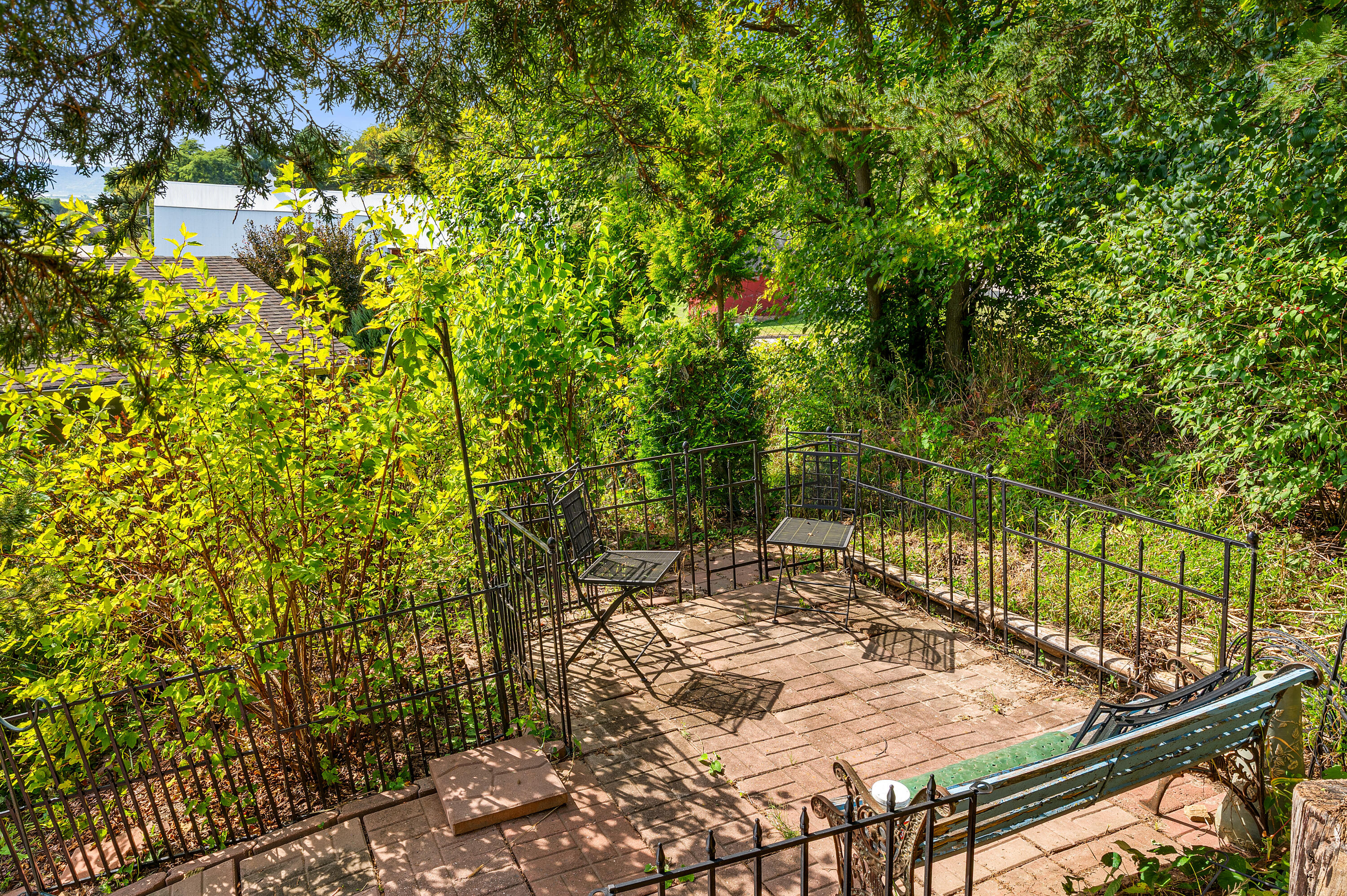 400 White Tail Dr