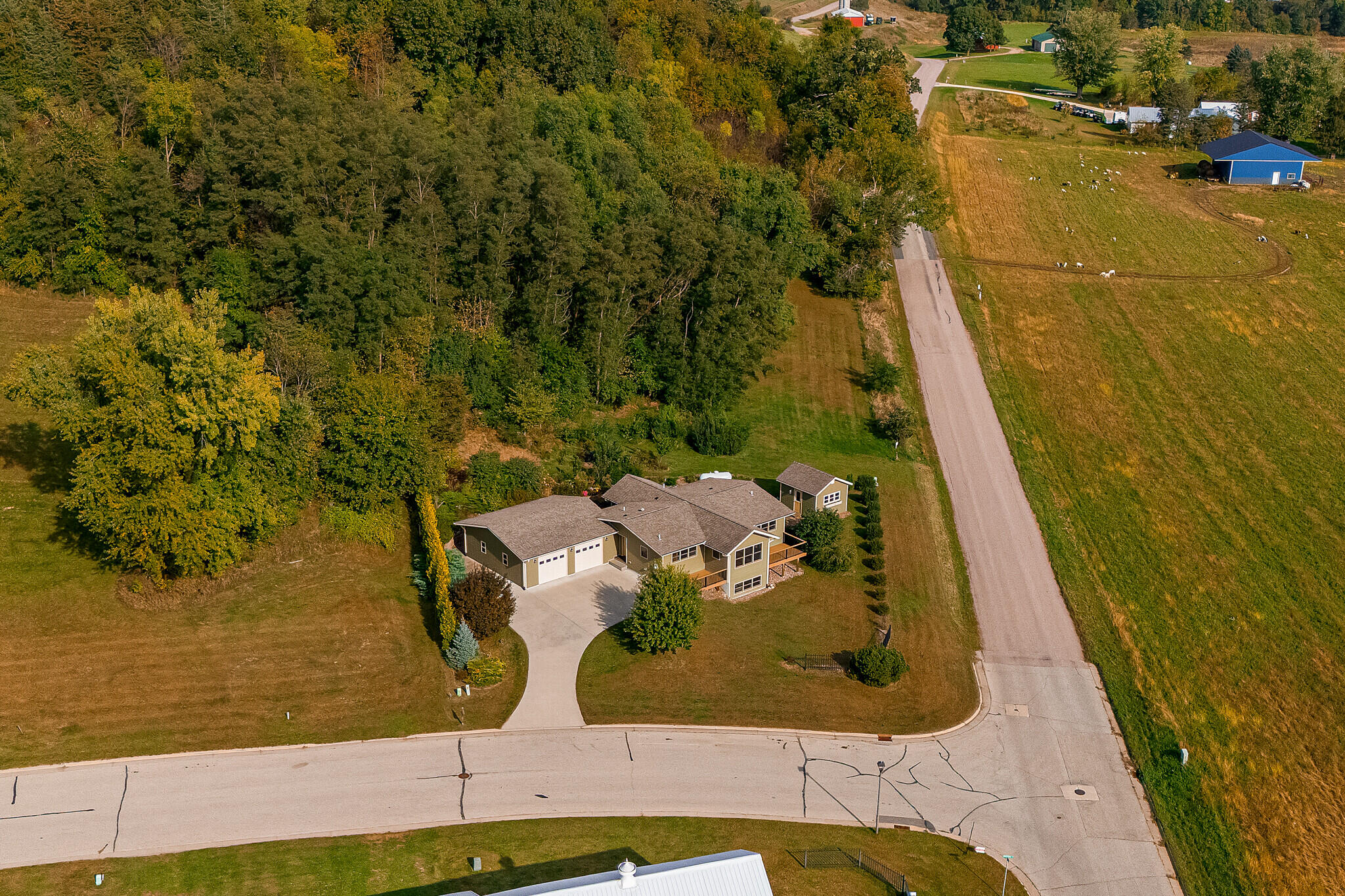 400 White Tail Dr
