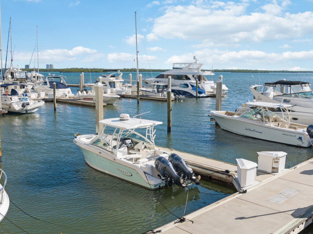 1081 BALD EAGLE #39 DRIVE