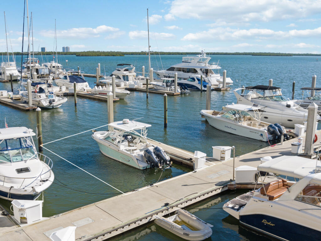 1081 BALD EAGLE #39 DRIVE