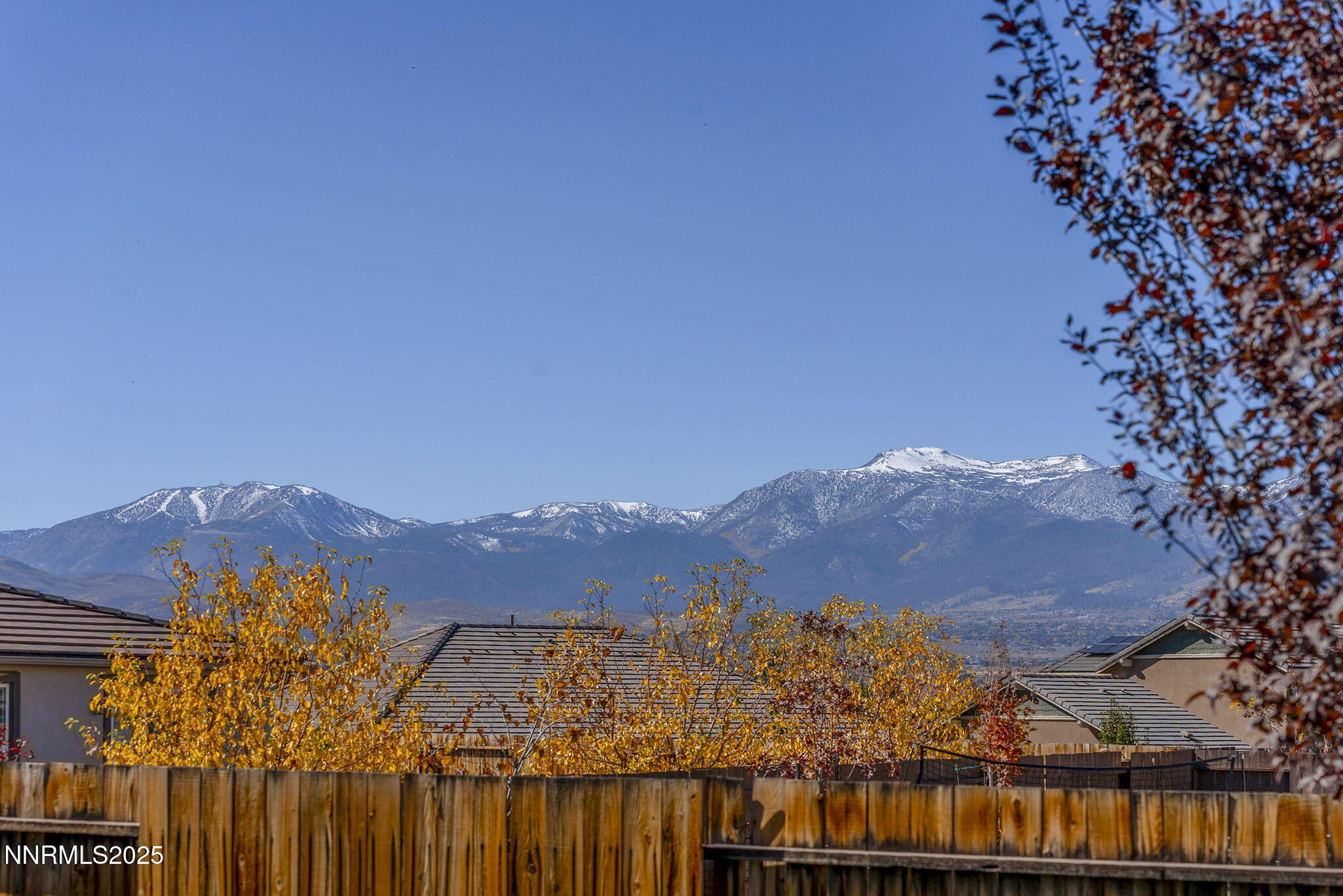 2835 Tobiano Drive
