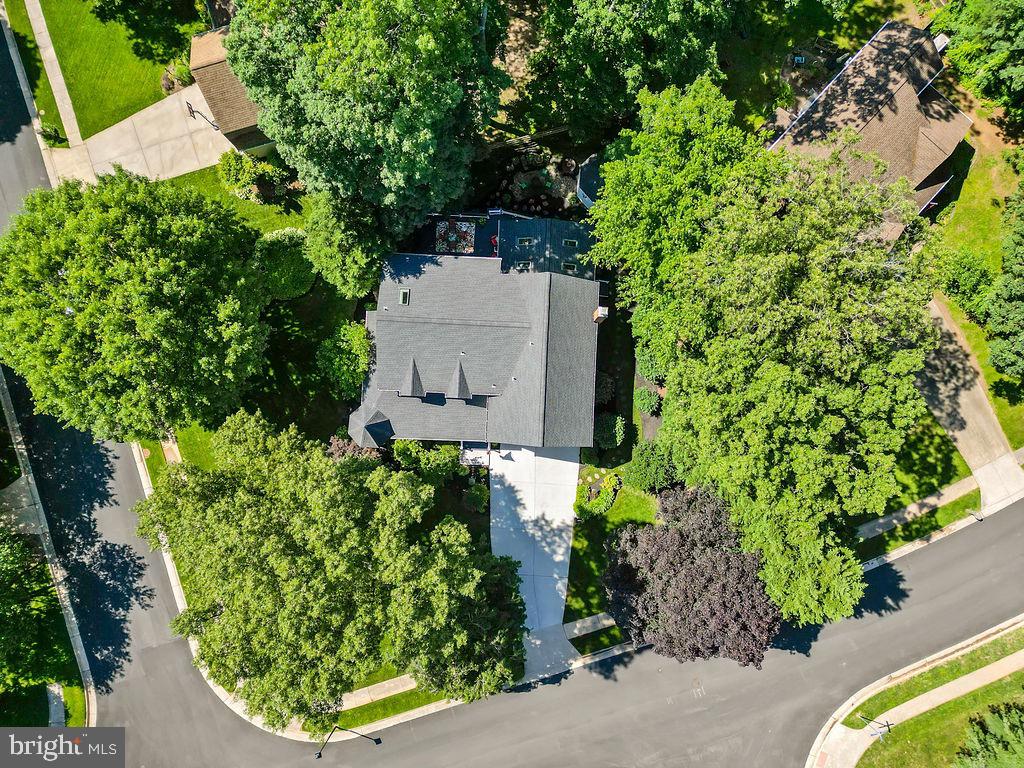 3005 TIMBER WOOD WAY