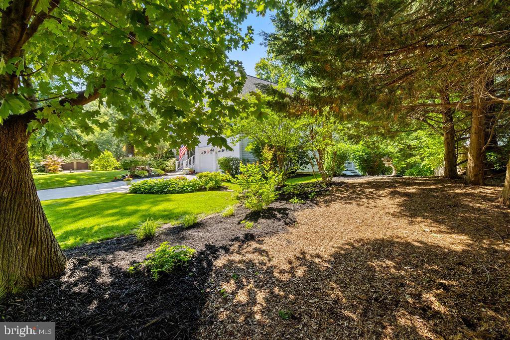 3005 TIMBER WOOD WAY