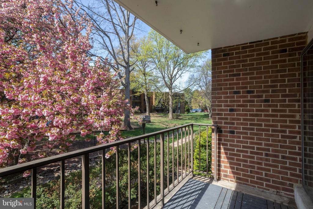 7800 DASSETT COURT 204