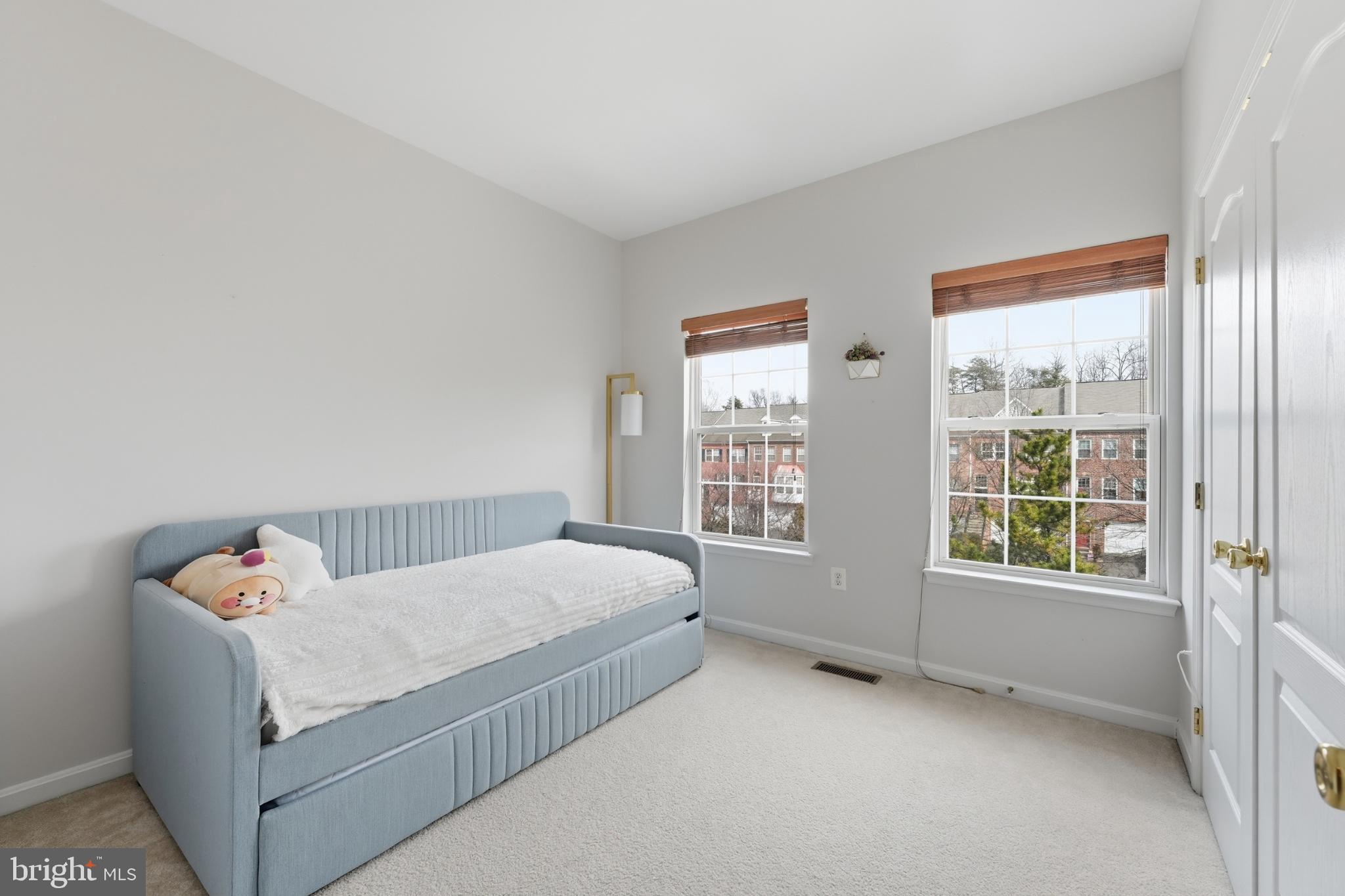 13993 SAWTEETH WAY