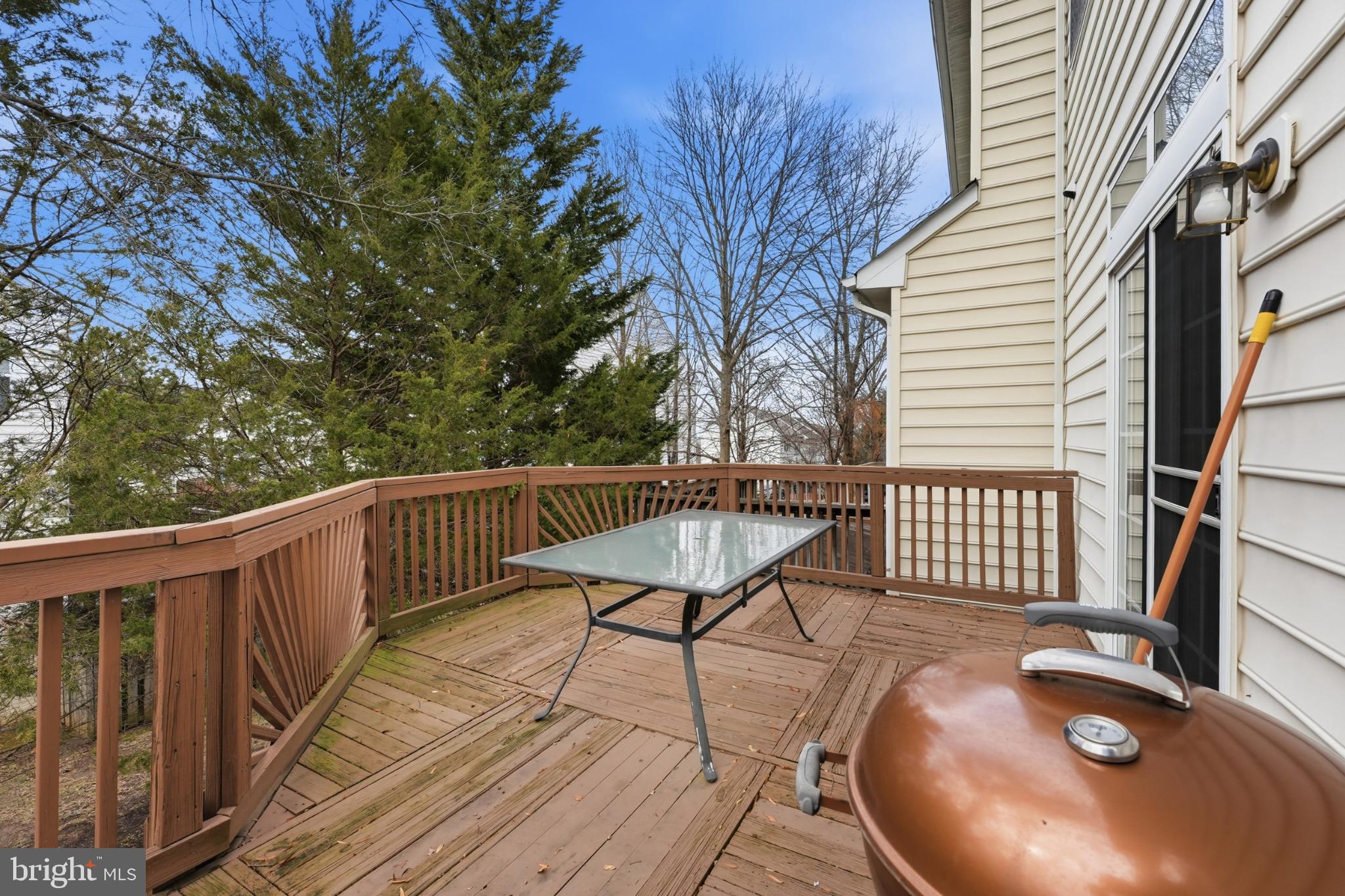 13993 SAWTEETH WAY