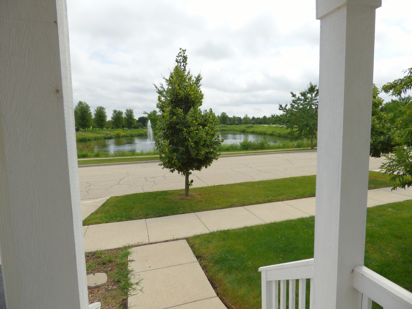 234 Water Lily Lane