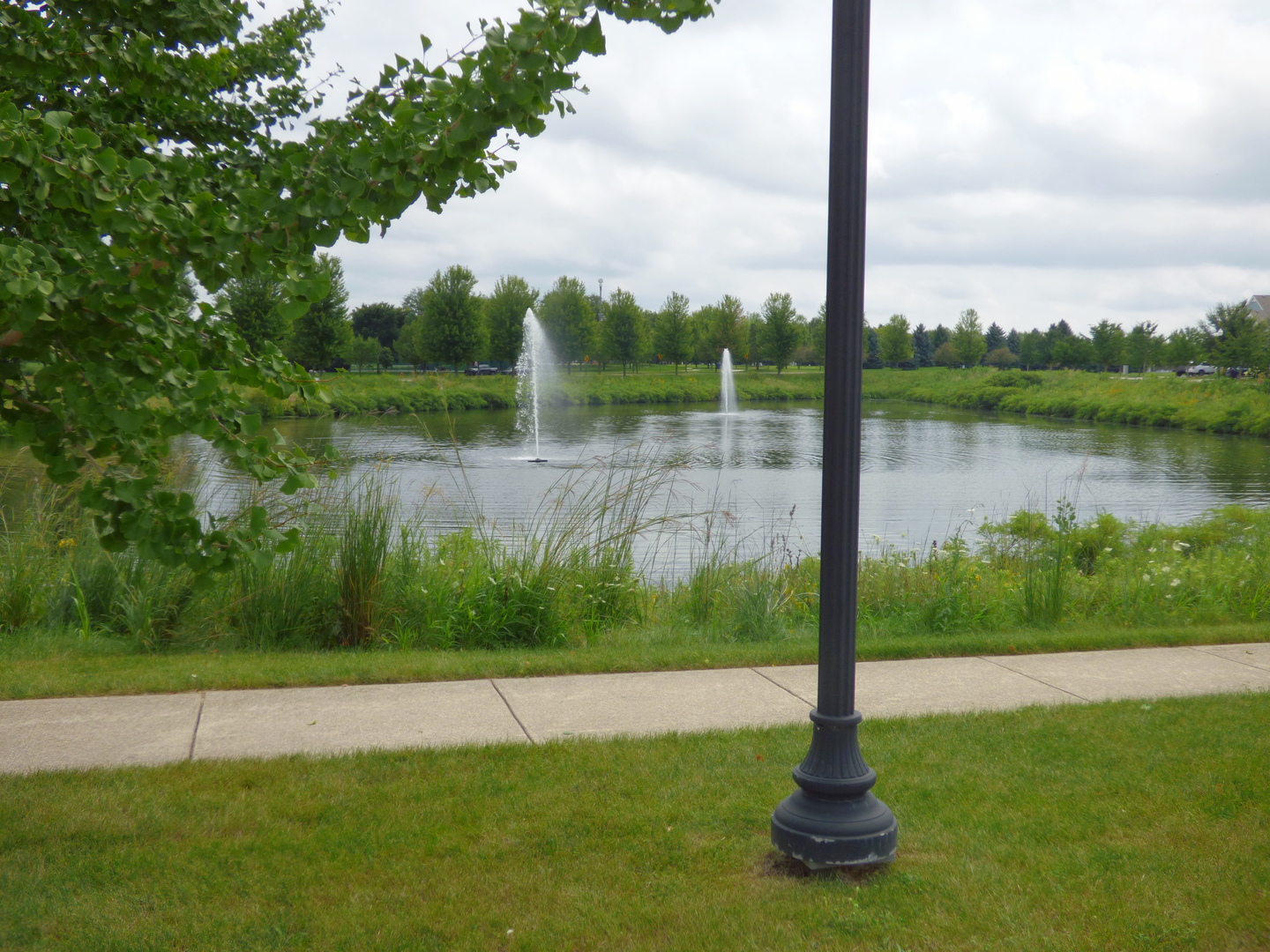 234 Water Lily Lane