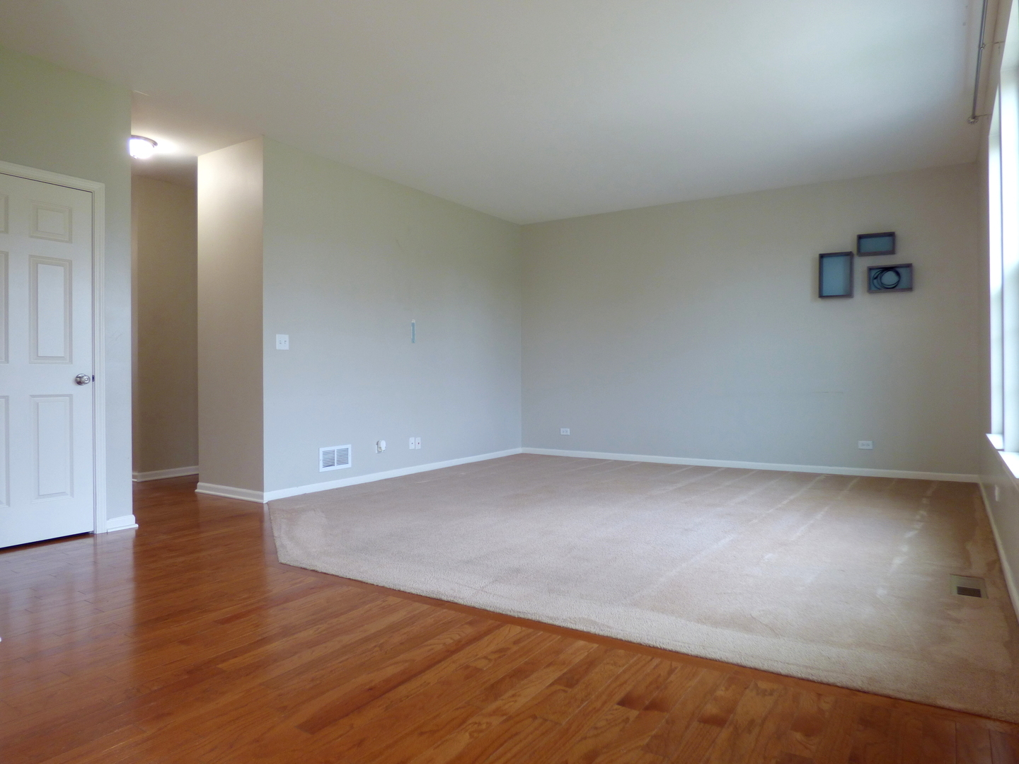 234 Water Lily Lane