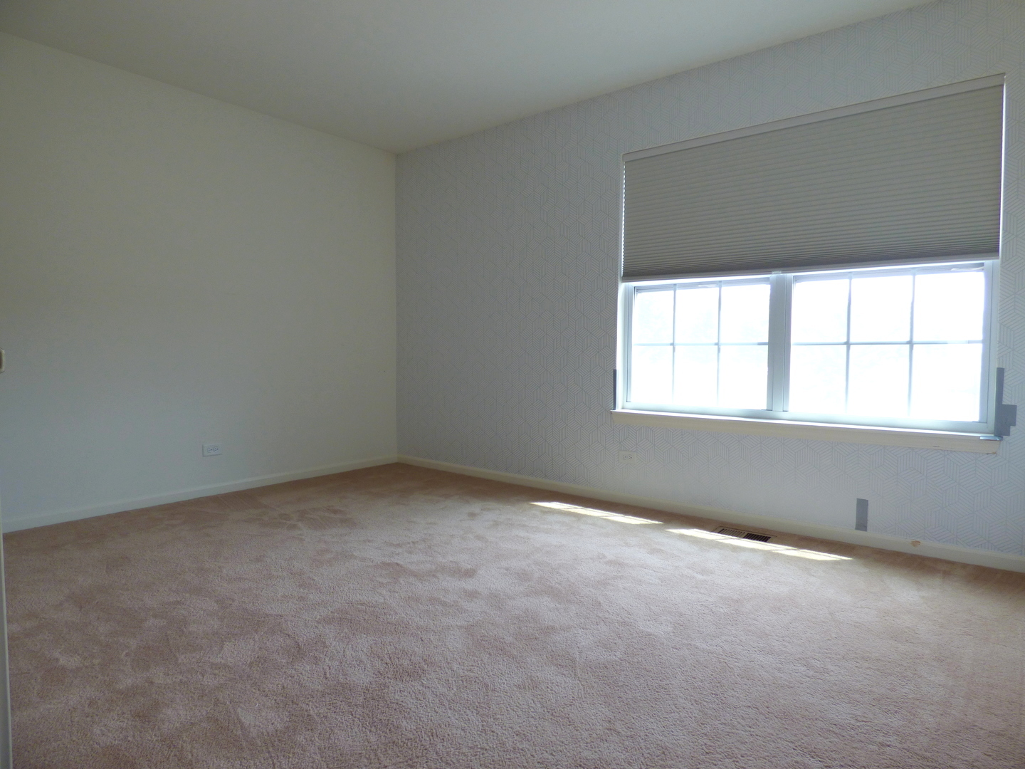 234 Water Lily Lane