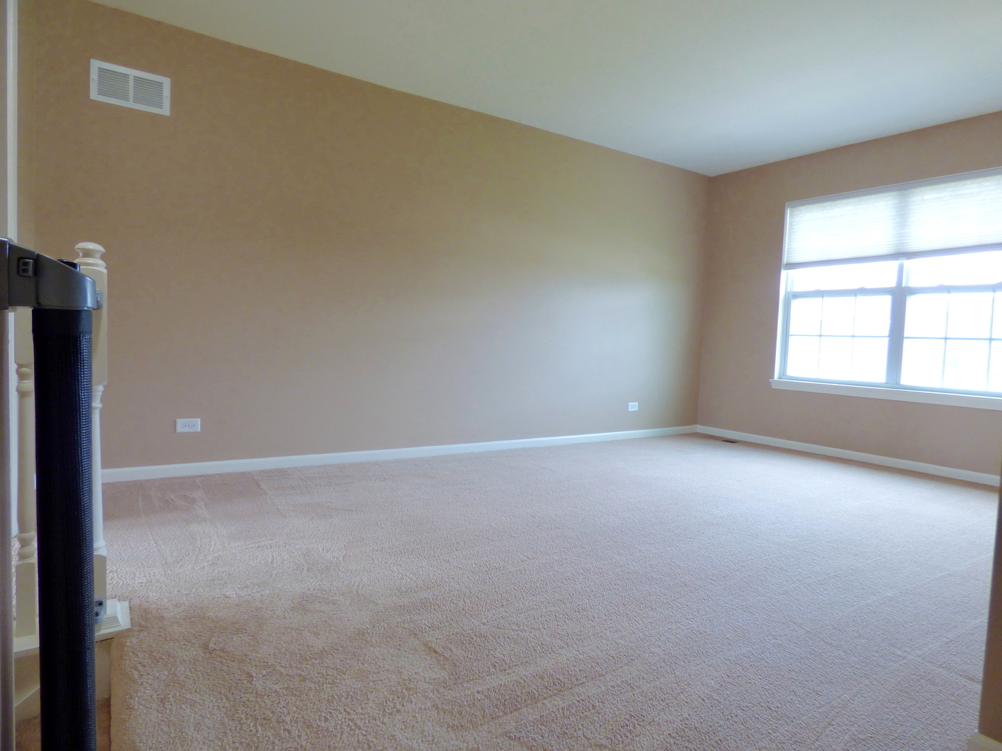 234 Water Lily Lane