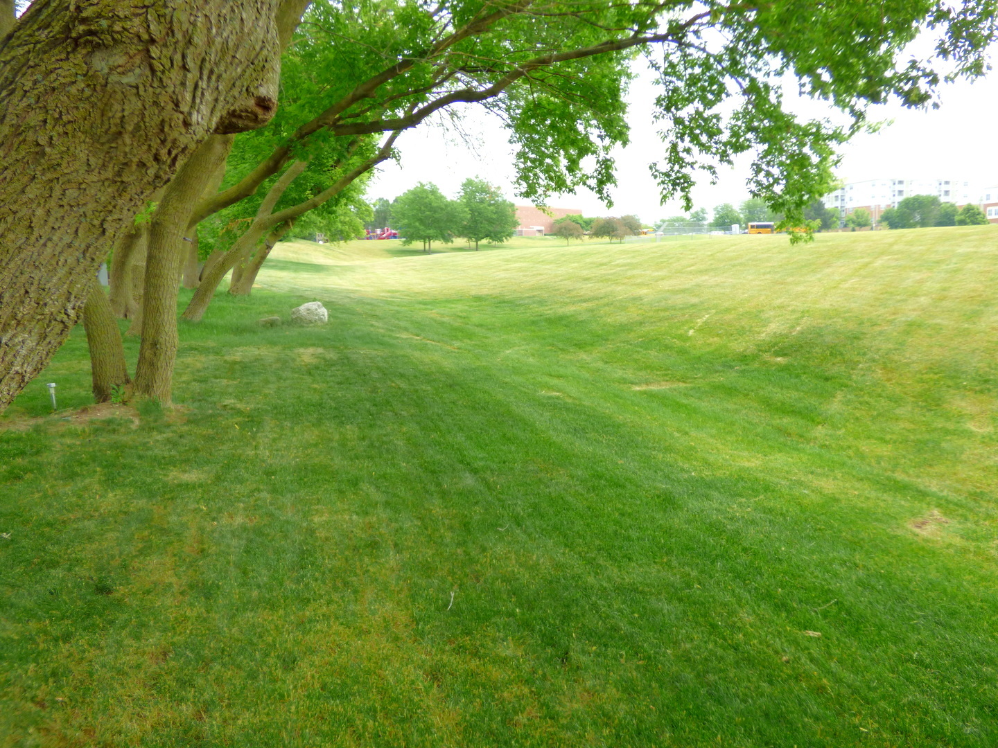 432 Thunder Ridge