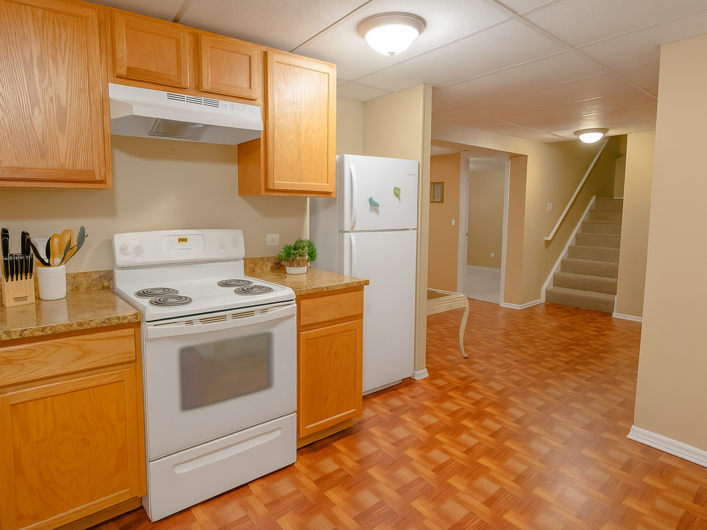 424 Grape Vine Trail