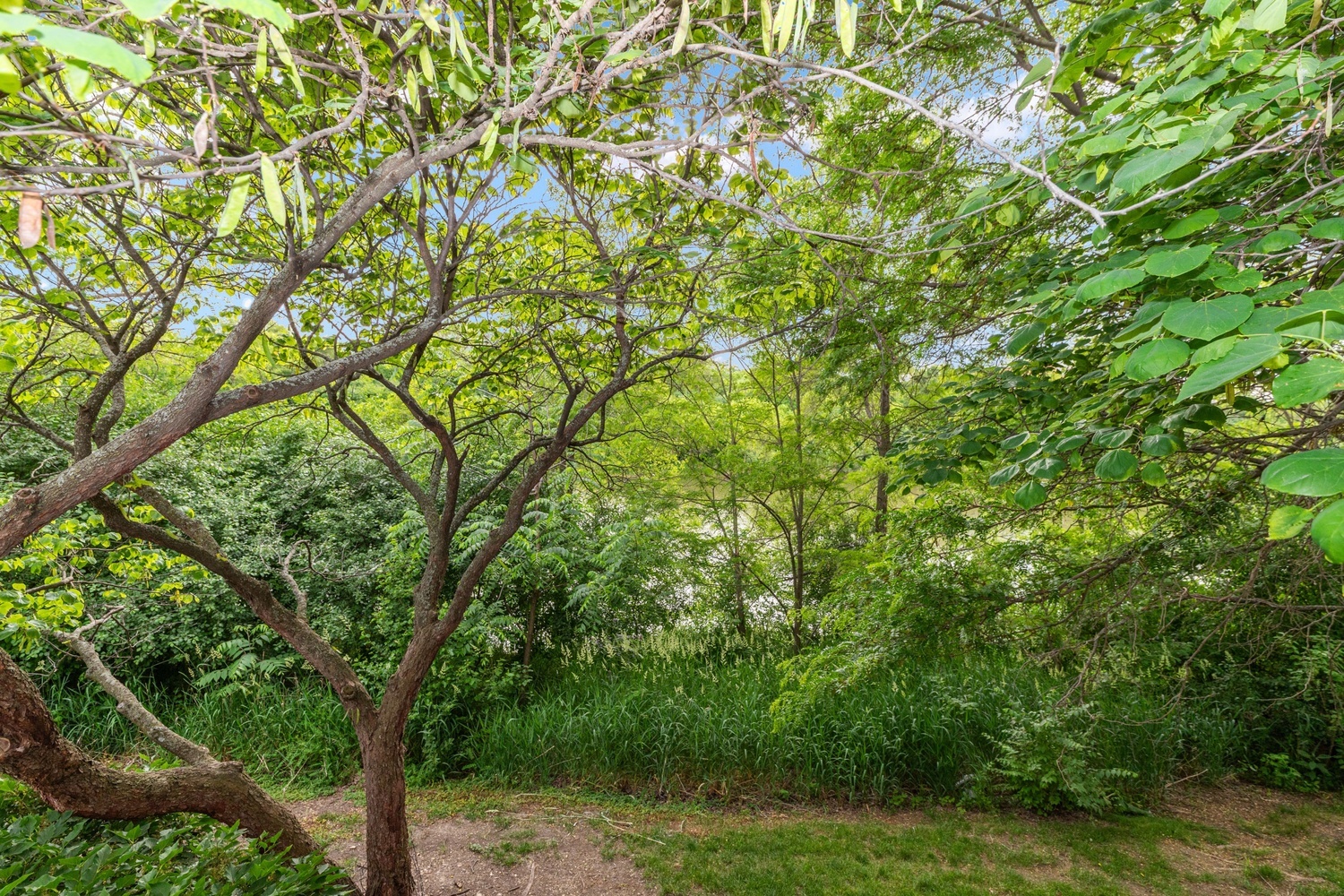 1248 LAKE SHORE Drive