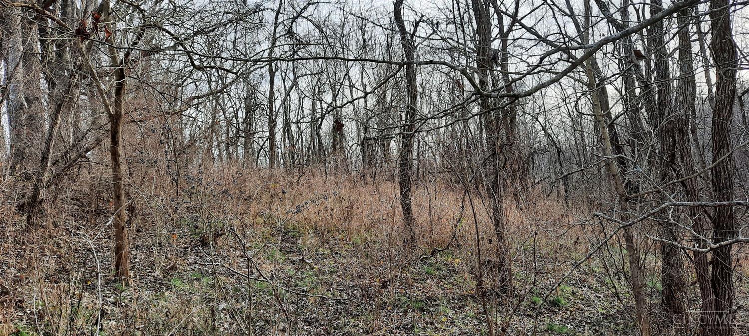 0 Myers Hollow Rd