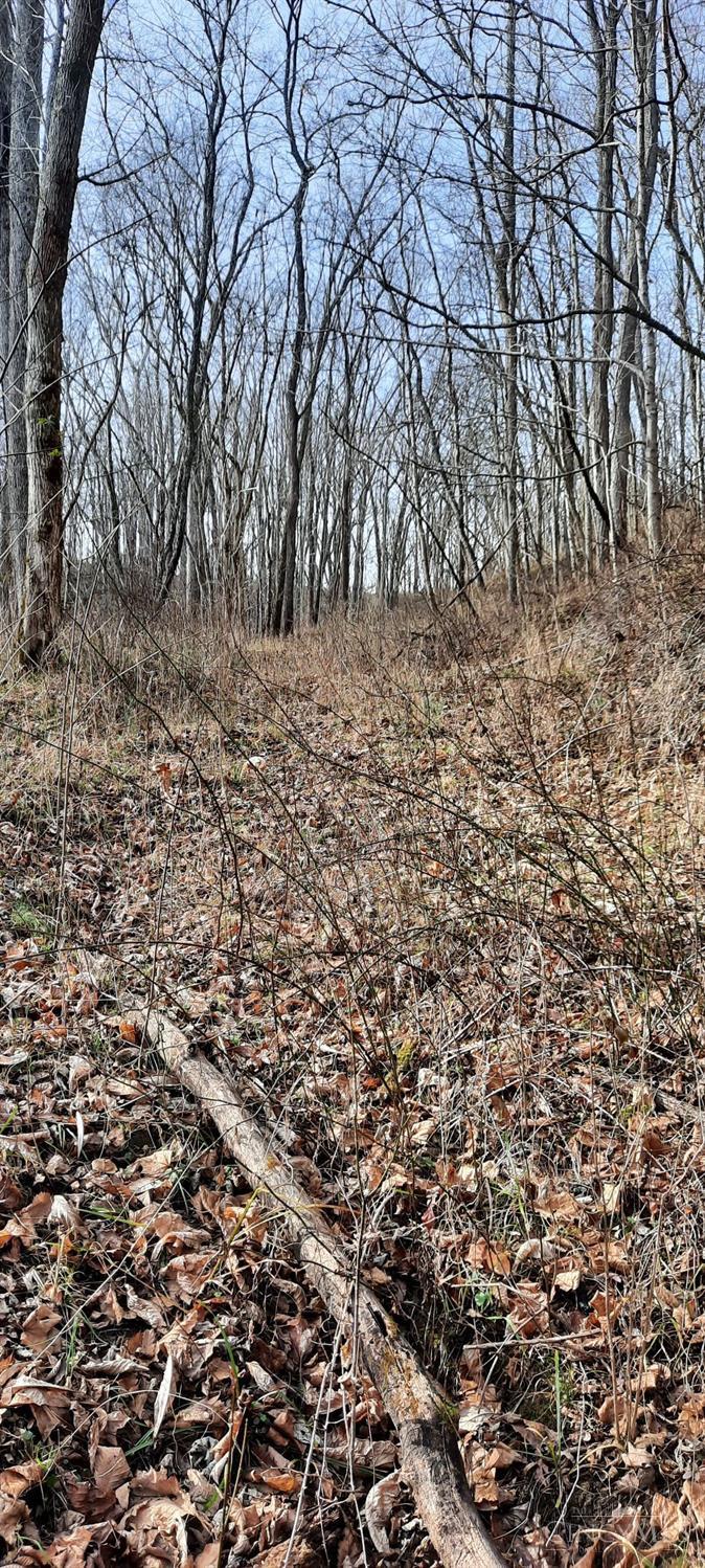 0 Myers Hollow Rd