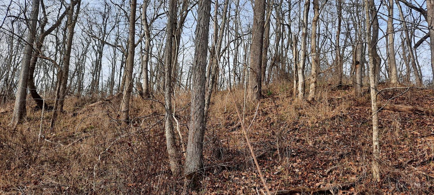 0 Myers Hollow Rd