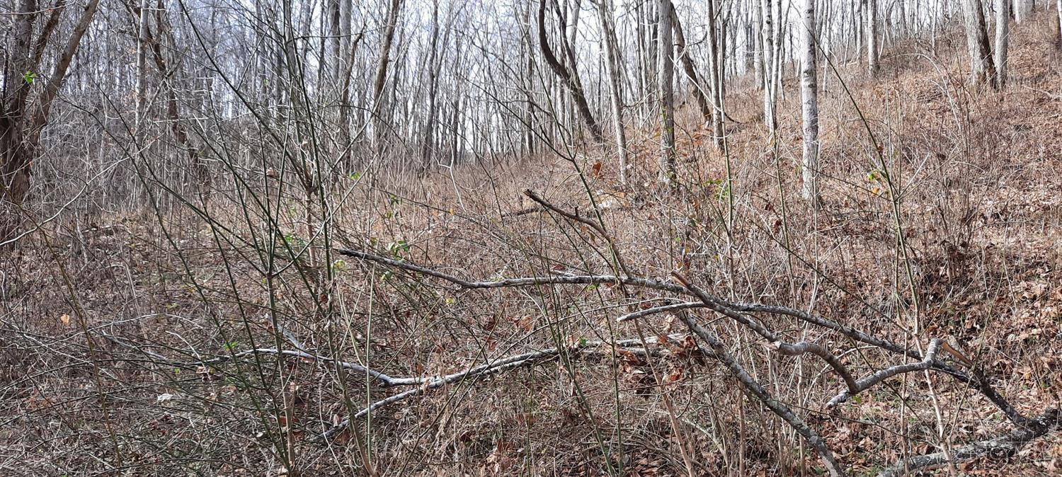 0 Myers Hollow Rd