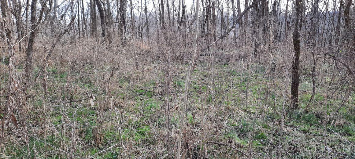 0 Myers Hollow Rd