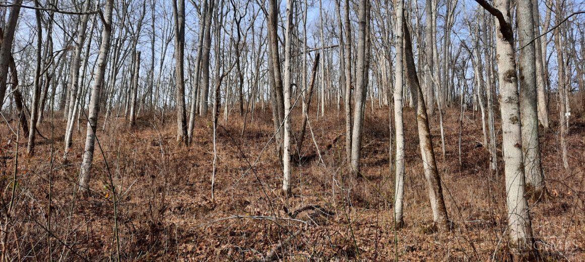 0 Myers Hollow Rd