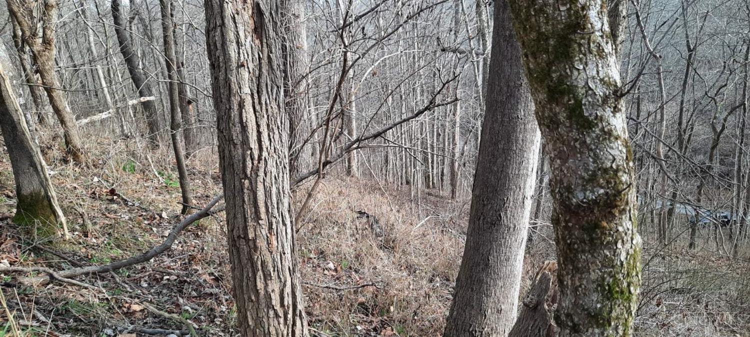 0 Myers Hollow Rd