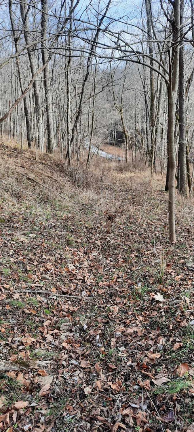 0 Myers Hollow Rd