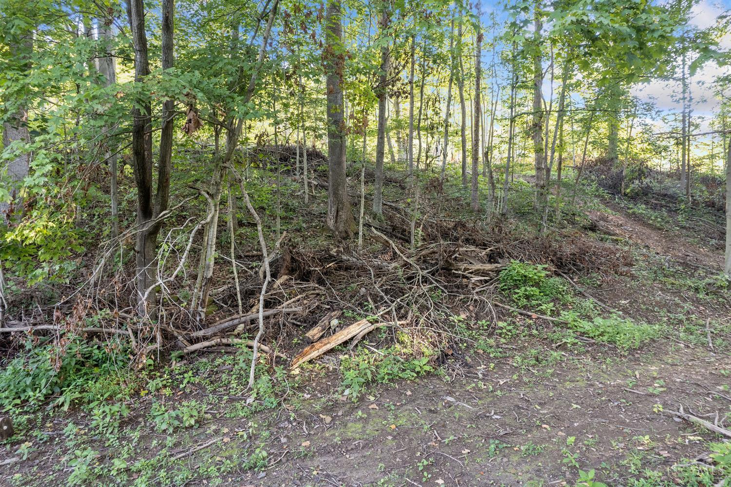 0 Hall Fork Road