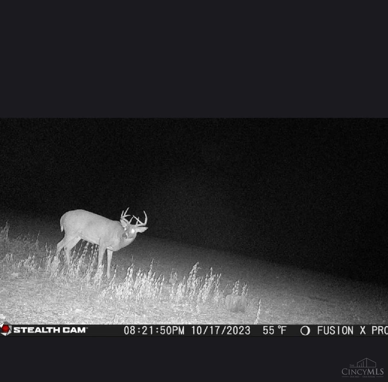 10144 US Rt 68