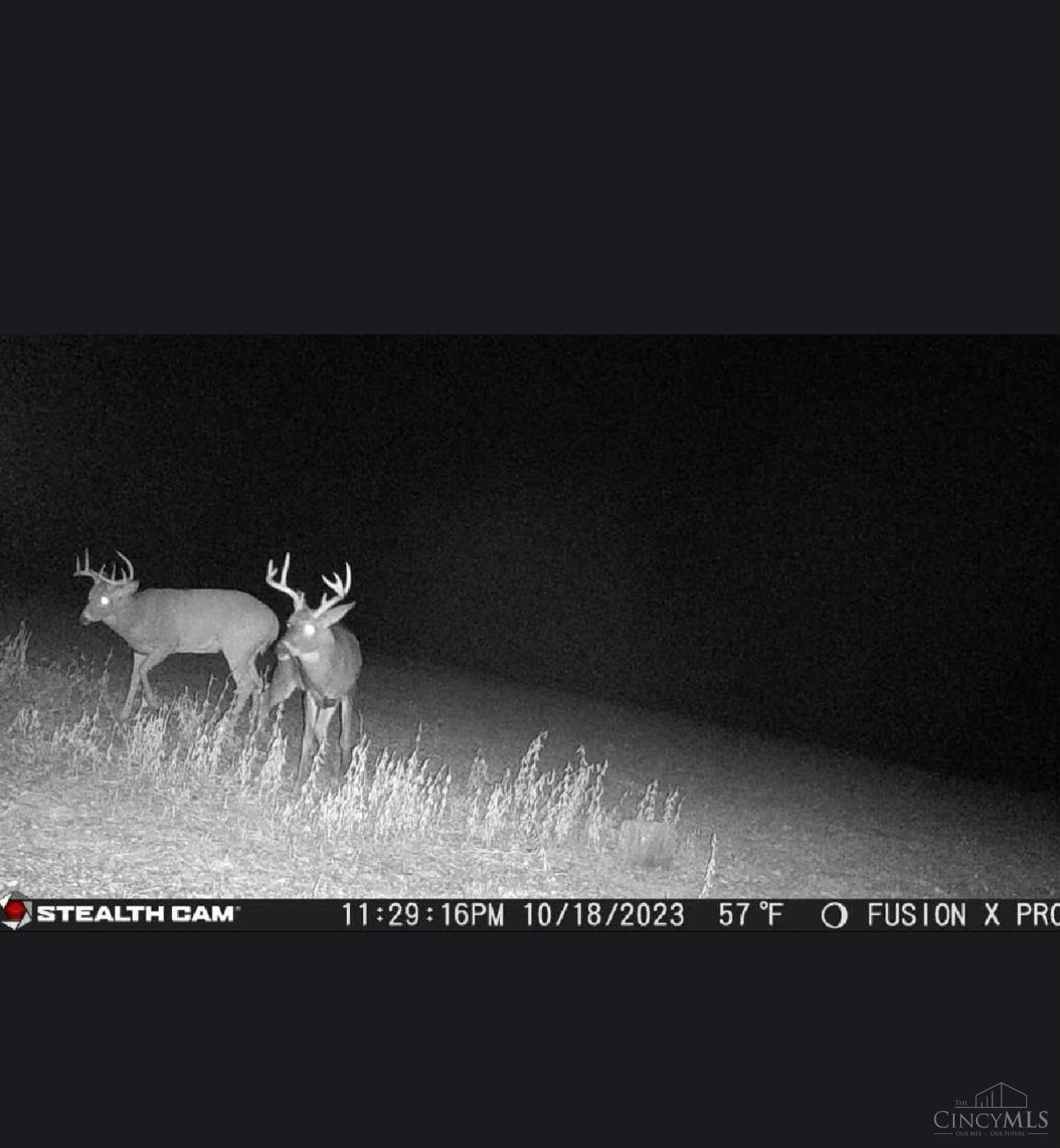 10144 US Rt 68