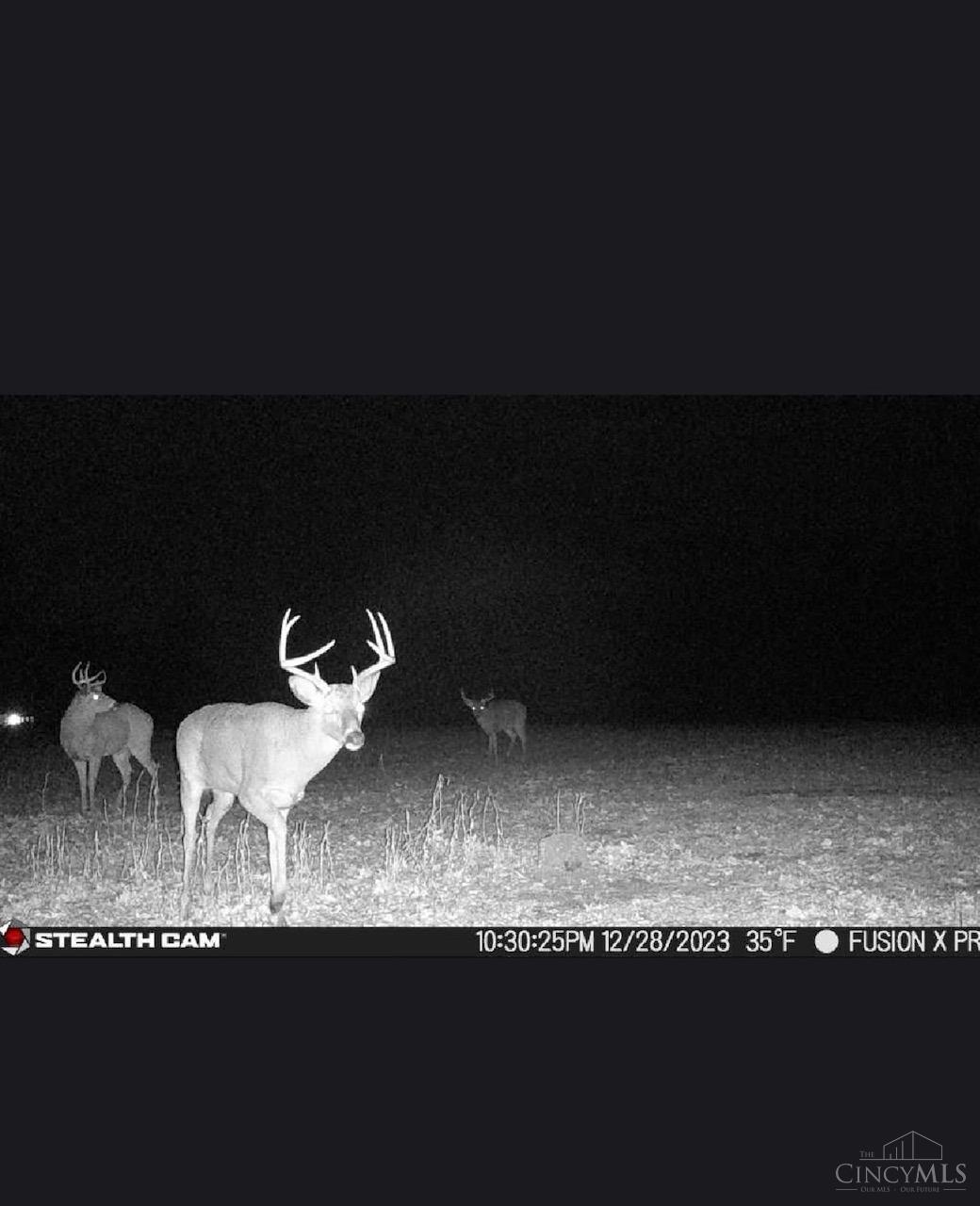 10144 US Rt 68