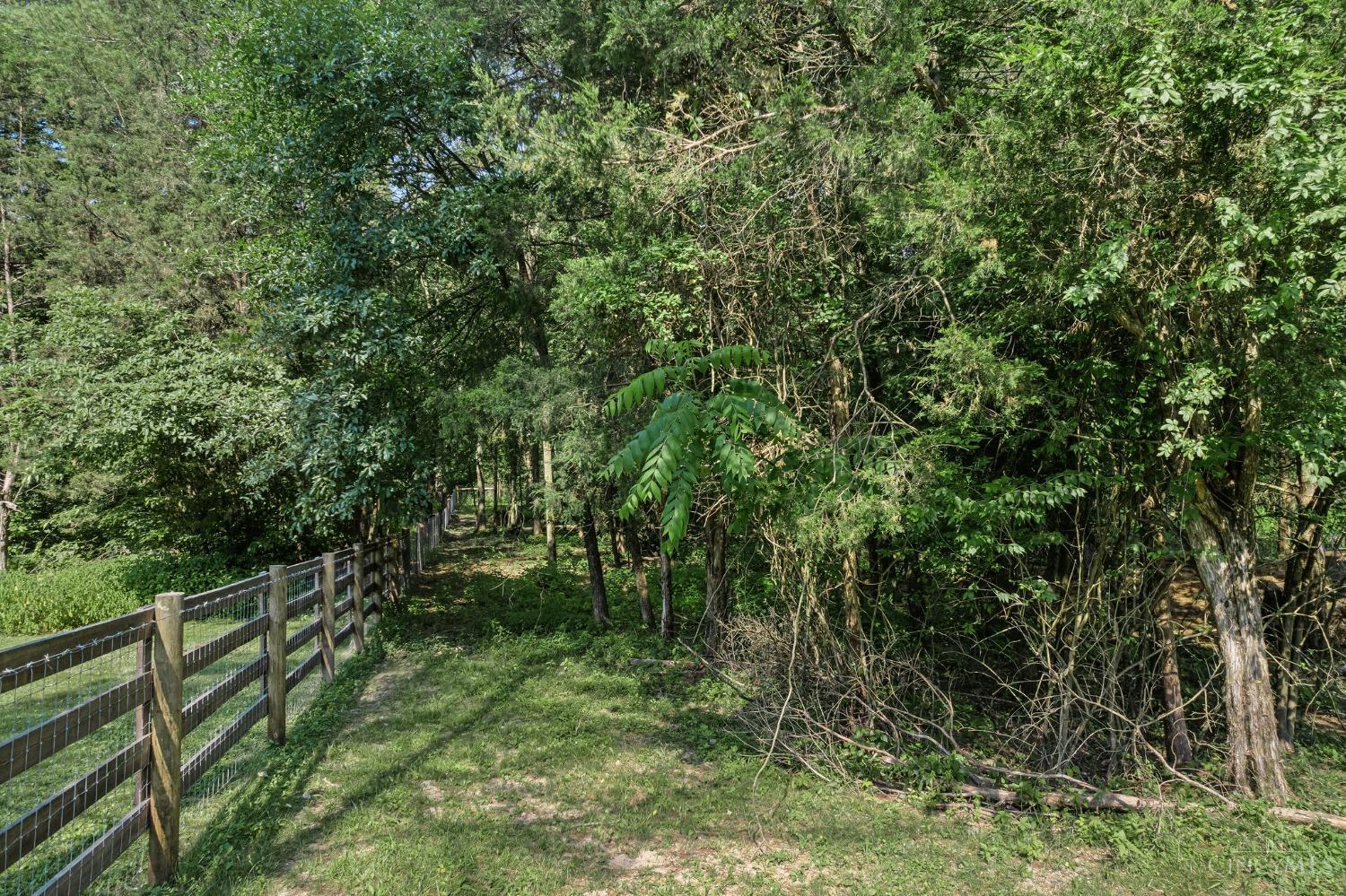 415 Big Pine Road