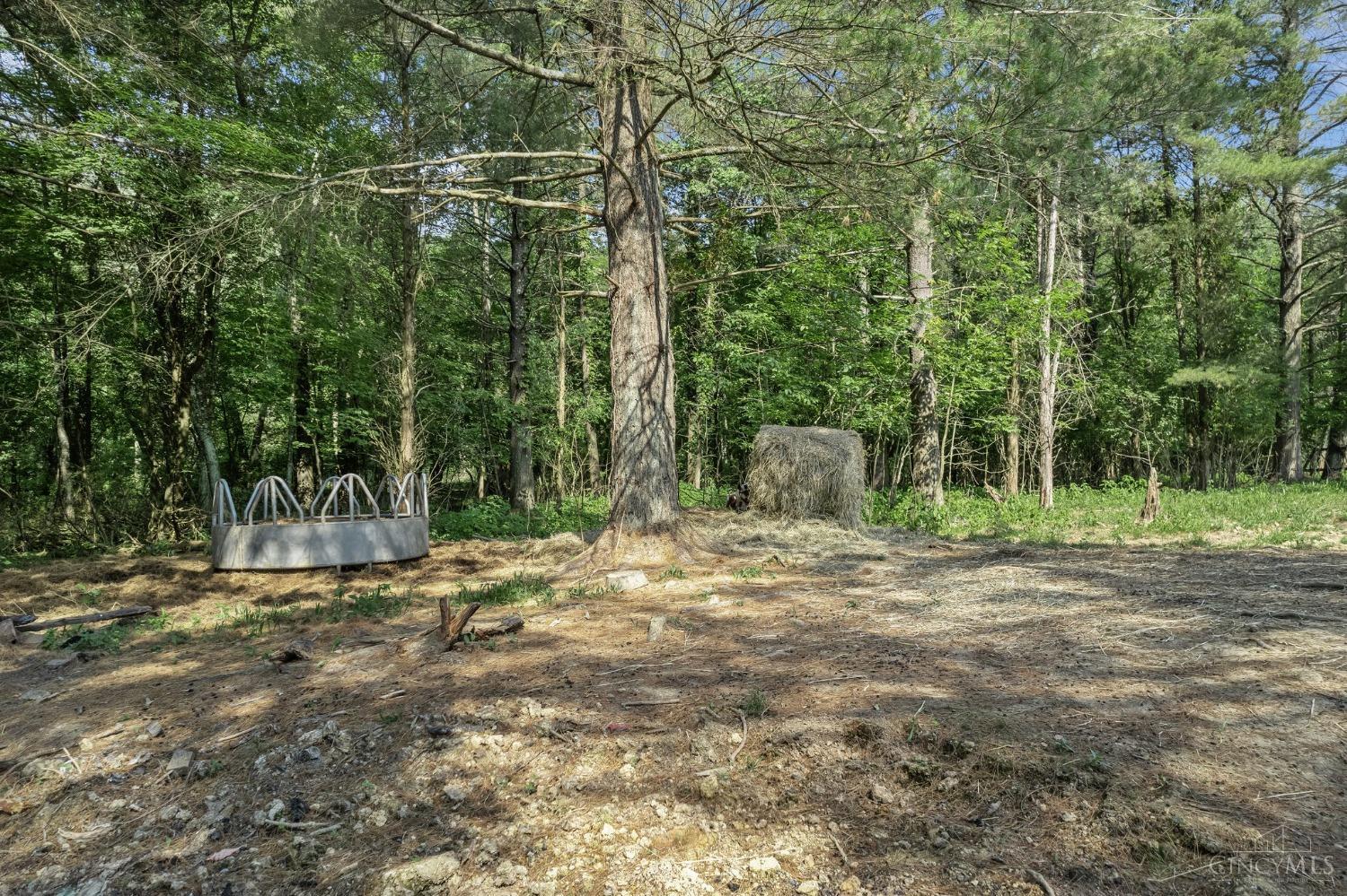 415 Big Pine Road